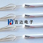 PT100熱電阻傳感器